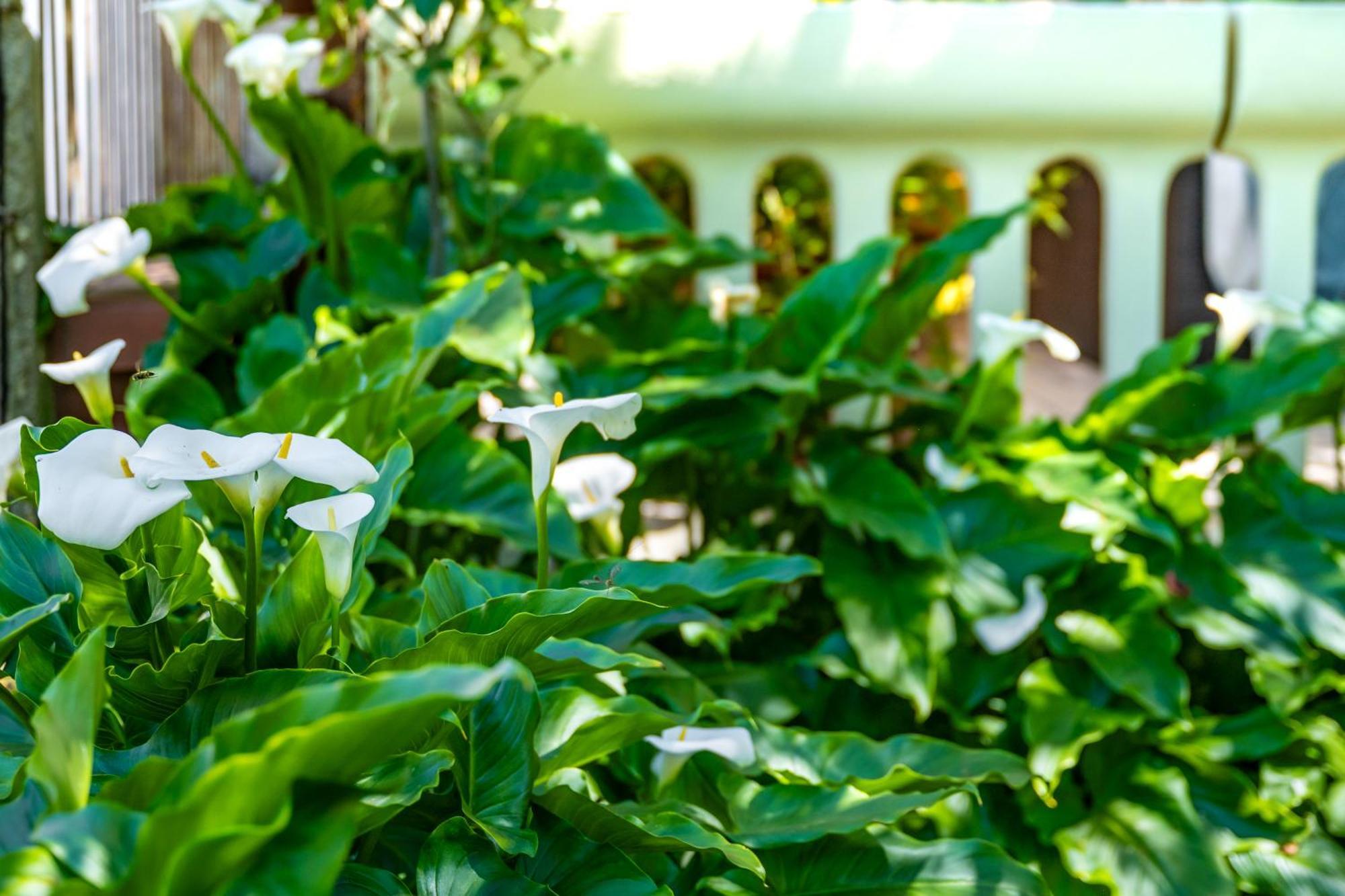 E-M Apartments With Private Pool Vinkuran Exterior foto