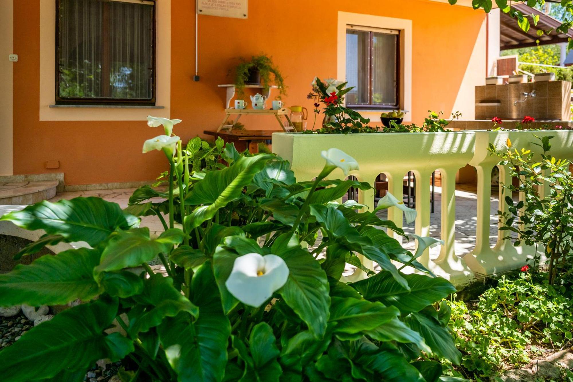 E-M Apartments With Private Pool Vinkuran Exterior foto